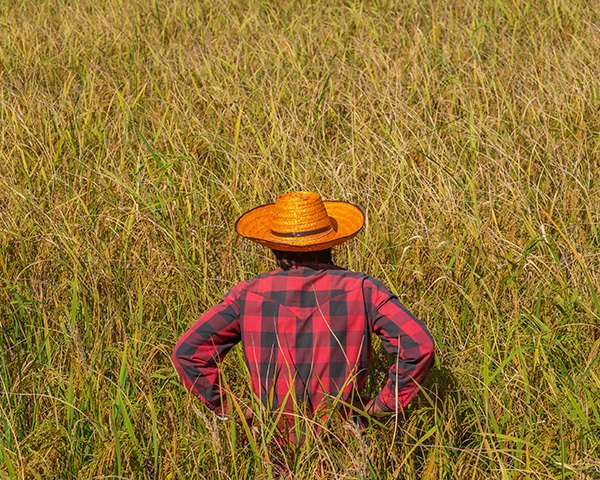 Farmer on the farm